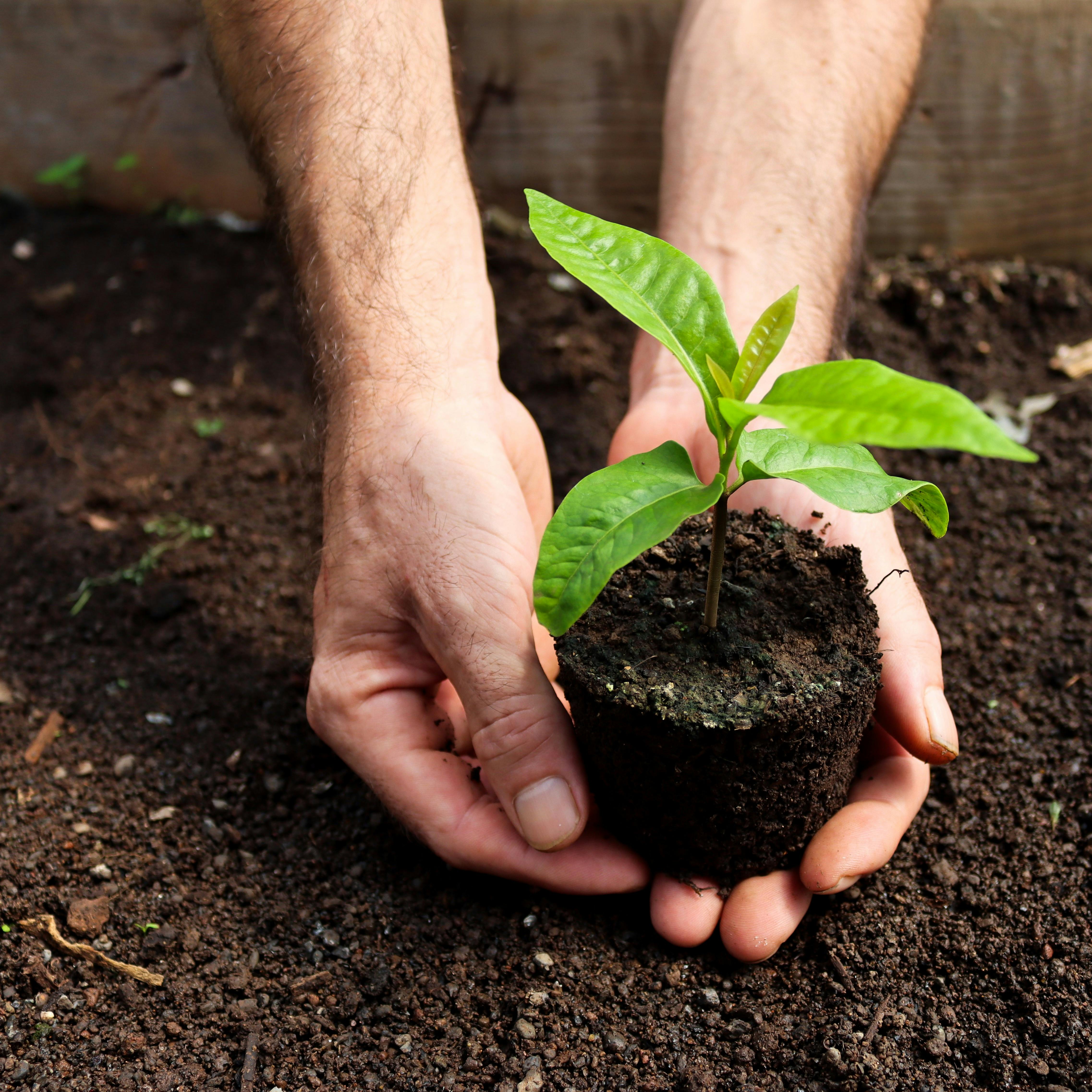 Nurturing a Safe Space: Leading Your Organization Post-No Referendum in Australia